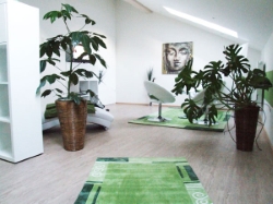 Schröpftherapie Pfarrkirrchen Eggenfelden Rottal Inn Bayern